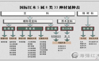 大紅酸枝為什么會叫“老紅木”？